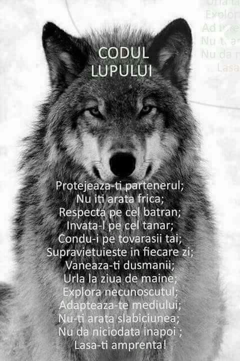 fb_img_1533911488489